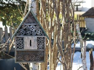 Mason Bee hotel