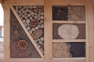 mason bee garden house